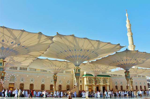 لماذا يقتنع الناس بصدق الإسلام؟