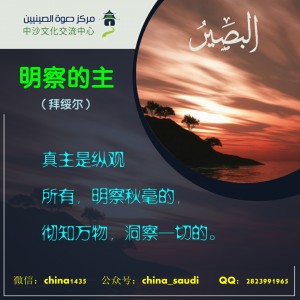 سلسلة أسماء الله الحسنى  - البصير