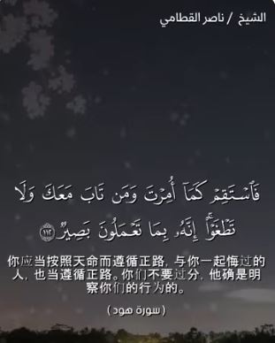 هود 112 (باللغة الصينية)