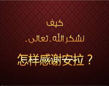 感谢安拉的模式