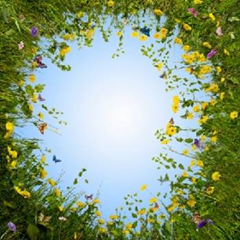 (الإتقان عبادة مستمرة) (باللغة التايلاندي)