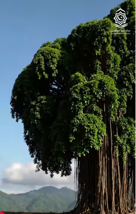 بناء العادات الصحية في الإسلام (باللغة الفيتنامي)