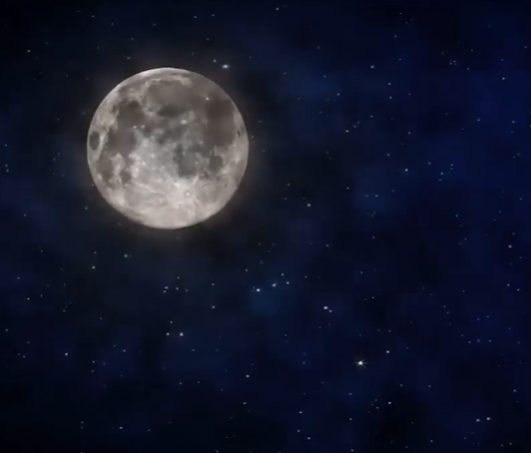 جربة مغنّية الراب Diam’s عند محاولتها السجود والدعاء لأول مرة (باللغة الصينية)