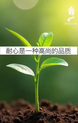 الصبر في الدعوة (باللغة الصينية)