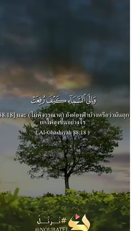 سورة الجاثية: 18-20