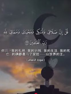 الأنعام: 162 (باللغة الصينية)