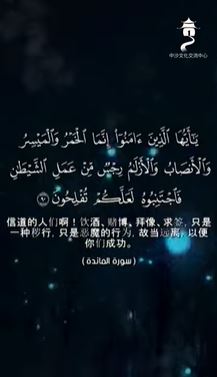 حفظ الفكر في الإسلام (باللغة الصينية)