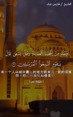 يس: 20 (باللغة الصينية)