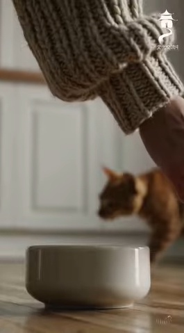 الصدق هو الطريق إلى النجاة (باللغة الصينية)