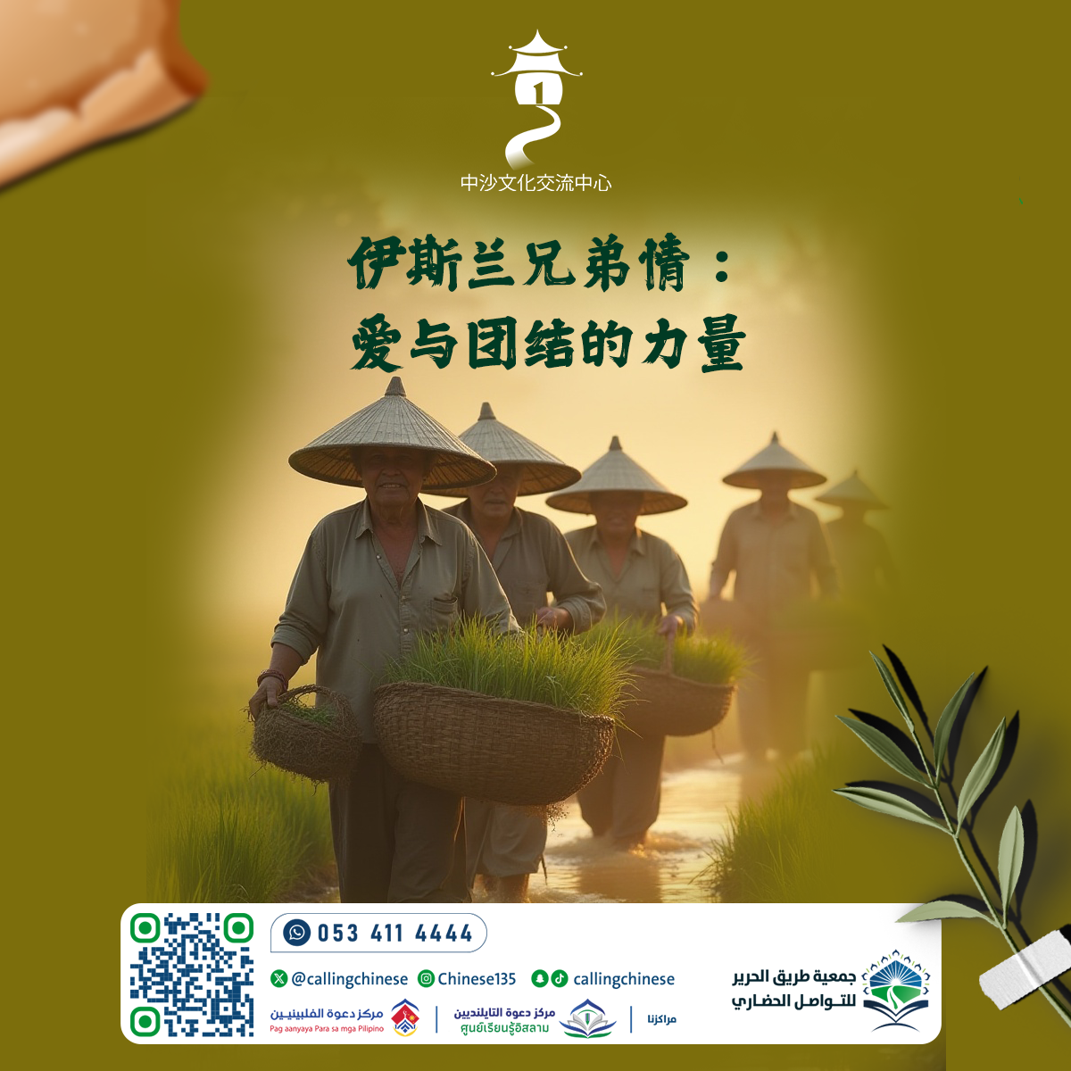 أخوة الإسلام: قوة الحب والوحدة (باللغة الصينية)