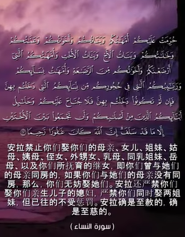 سورة النساء: 22-23 (باللغة الصينية)