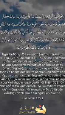 سورة الأنعام (99)