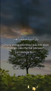 سورة الغاشية (18-20)