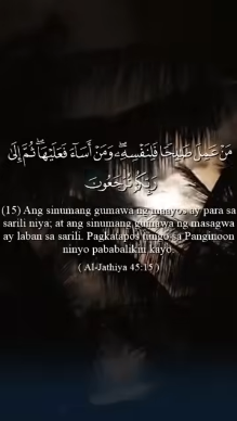 سورة الجاثية – الآية 15