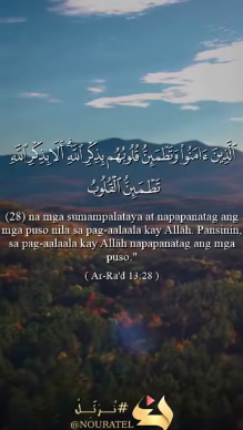 سورة الرعد – الآية 28
