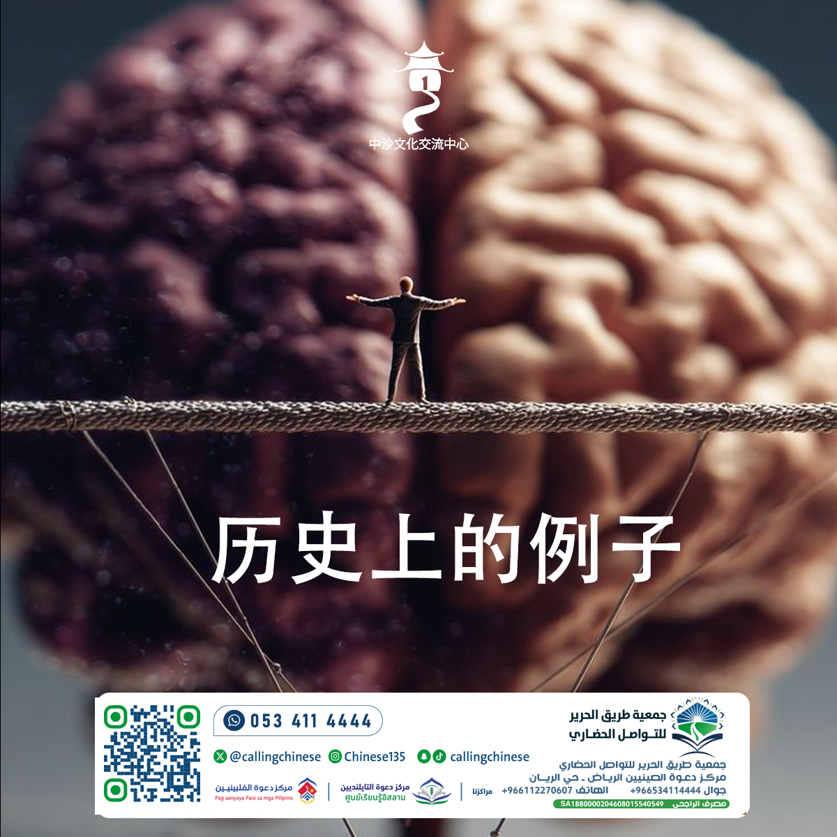 أمثلة تاريخية (باللغة الصينية)