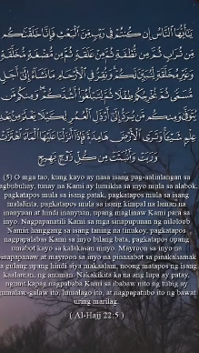سورة الحج (5)